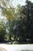 mini-IMG_3629