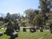 mini-IMG_6047