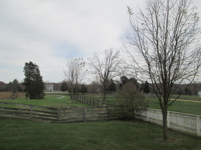 app10IMG_7702