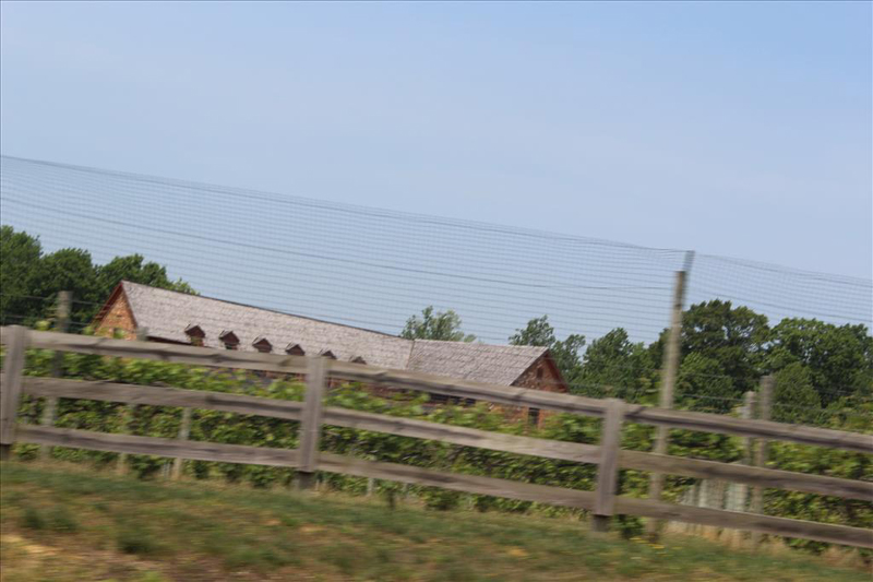 smIMG_1842