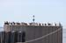 smIMG_1431