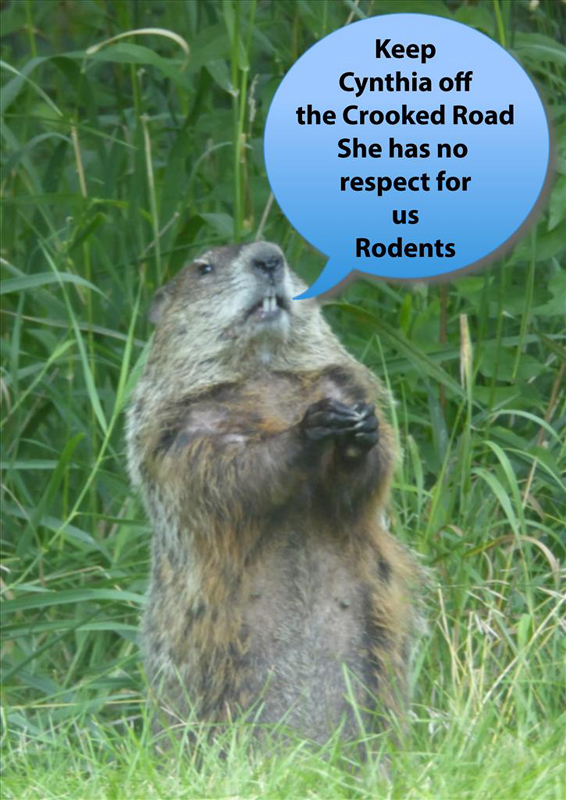 s01smgroundhog3