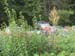s15IMG_9312