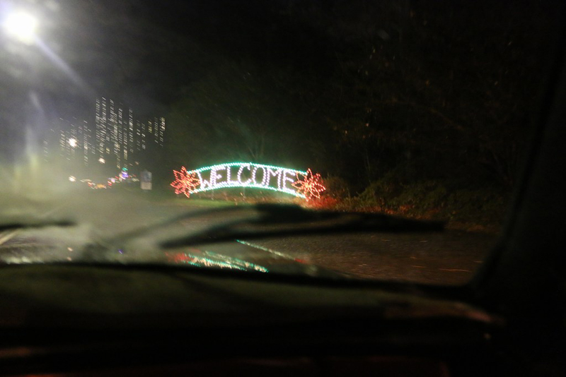 11mini-lights2016_09
