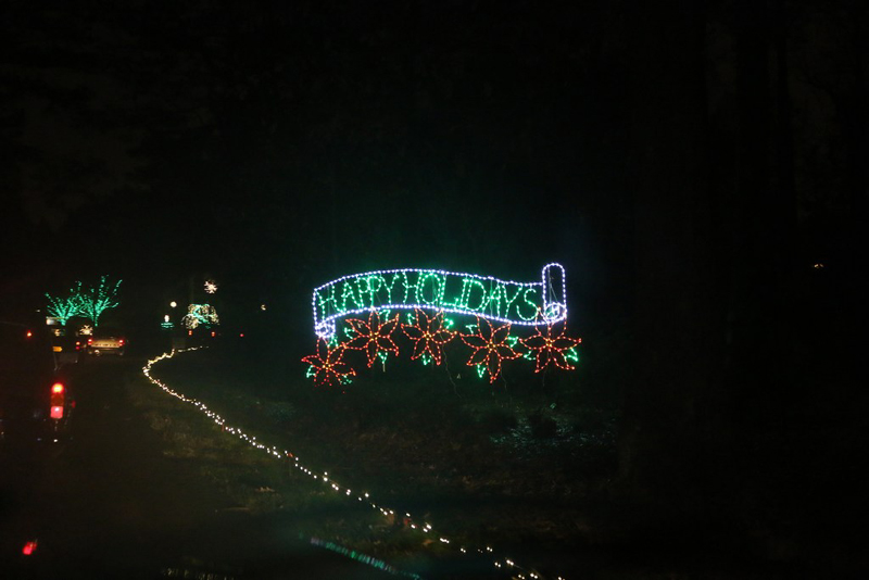 12mini-lights2016_10