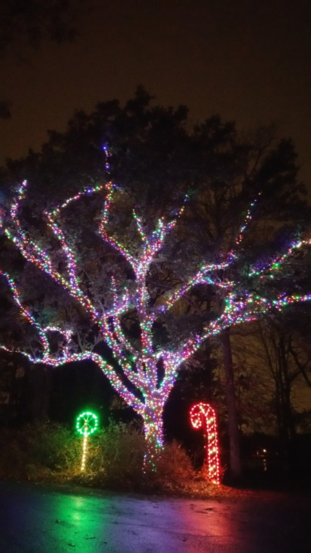 20161213_195117