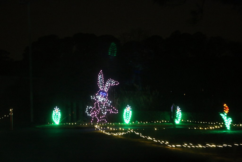 mini-lights2016_15