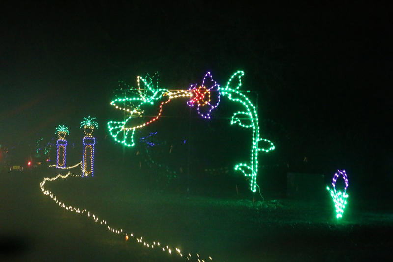 mini-lights2016_16