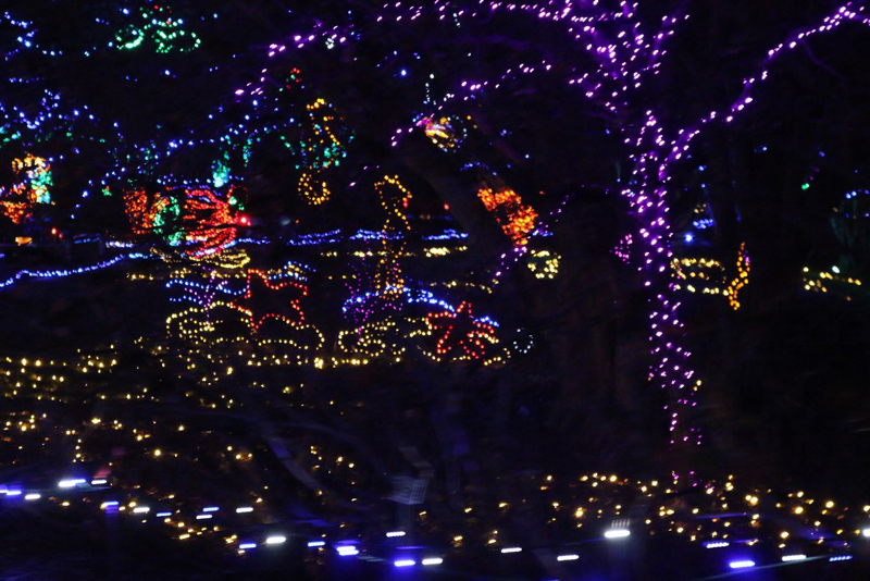 mini-lights2016_19