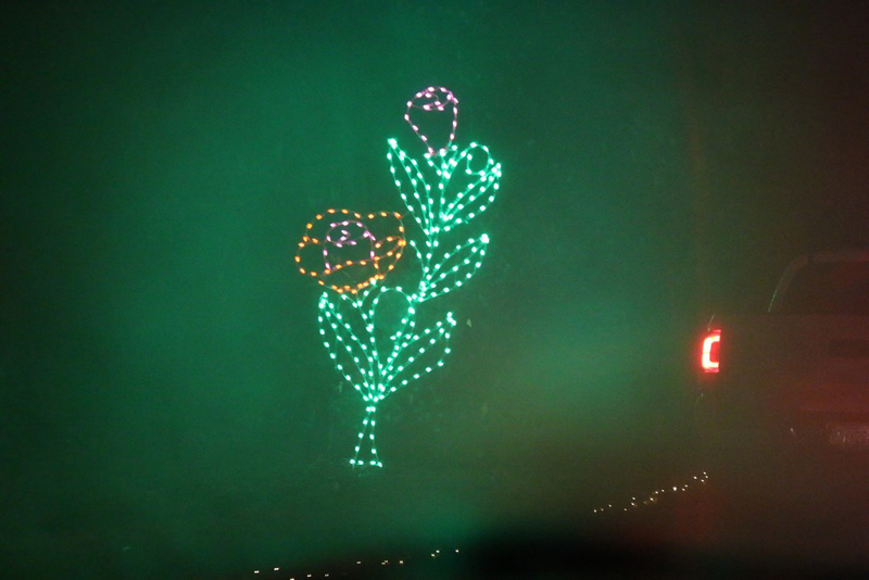 mini-lights2016_23