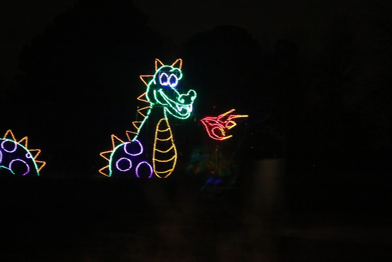 mini-lights2016_26