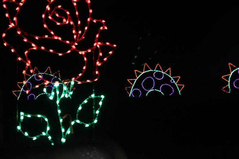 mini-lights2016_27
