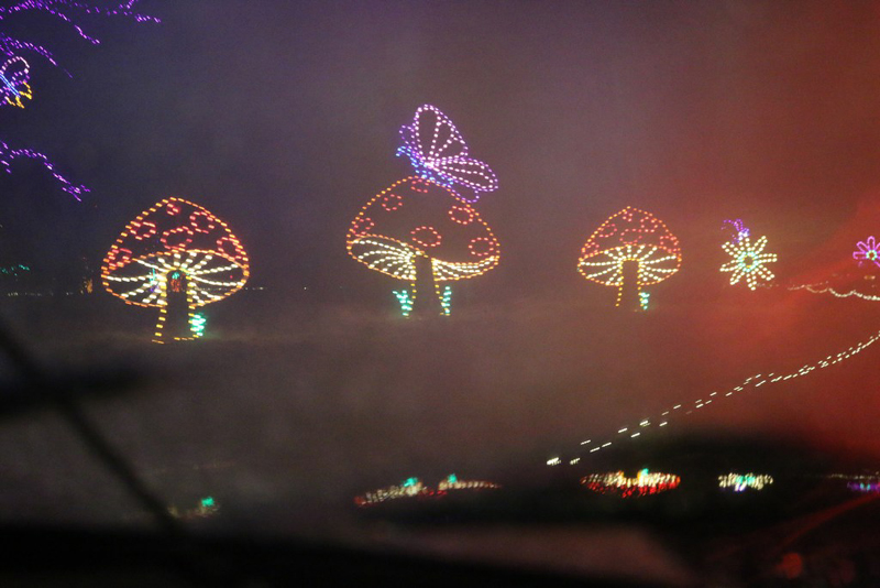 mini-lights2016_29