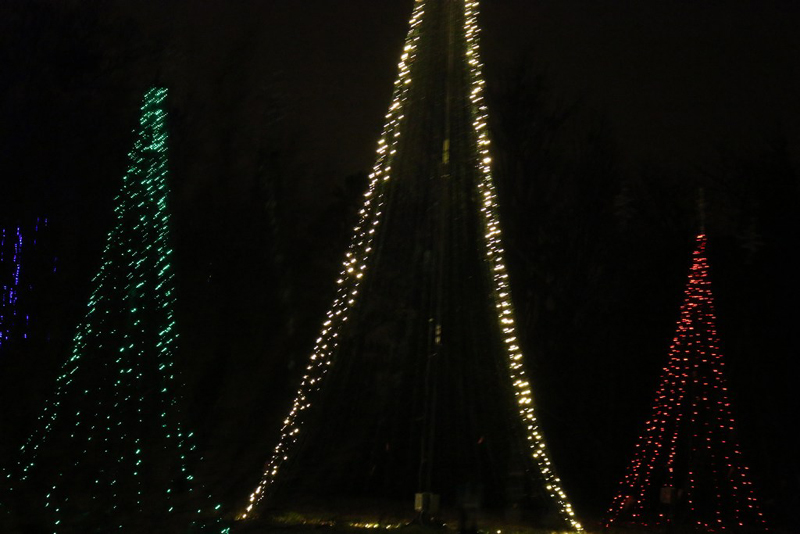 mini-lights2016_35