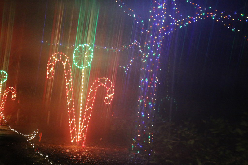 mini-lights2016_37