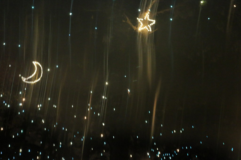 mini-lights2016_43
