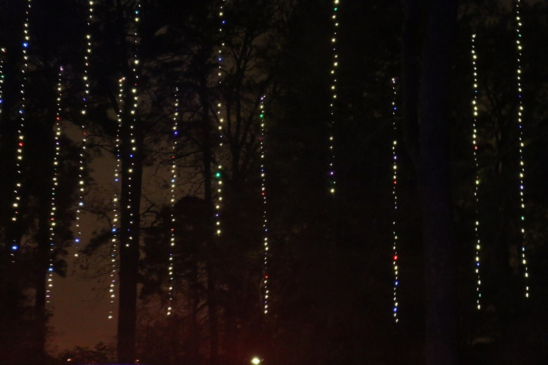 mini-lights2016_46