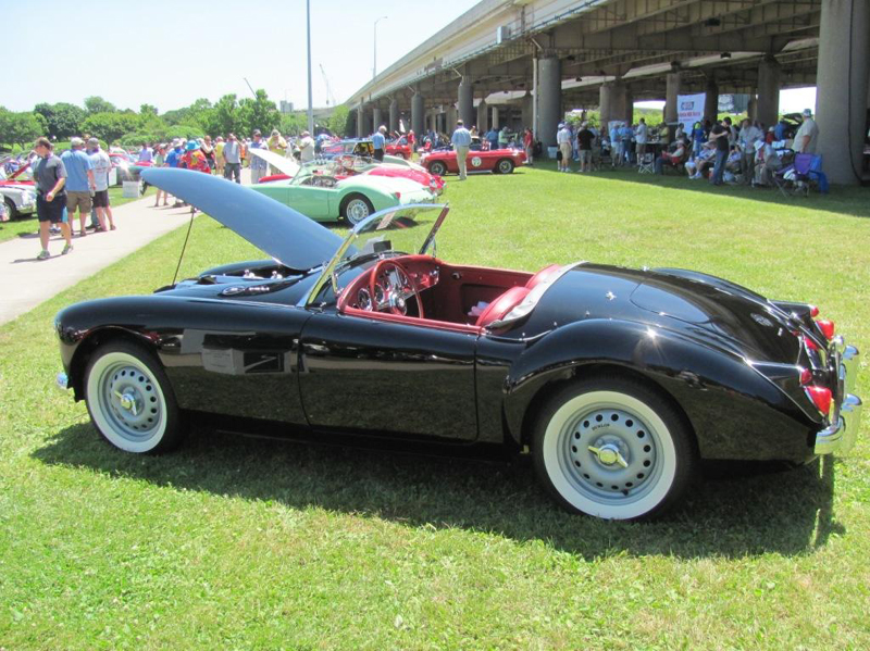 b259IMG_8902