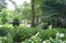 a164DSC05566