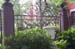 a167DSC05569