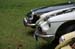 smwaynes2016_107