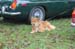 smwaynes2016_27