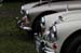 smwaynes2016_97