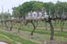 sat42mini-winetour16_131
