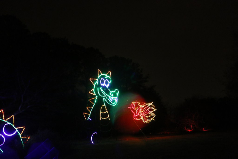 mini-IMG_8691