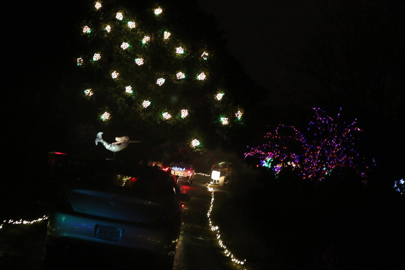 mini-IMG_8694