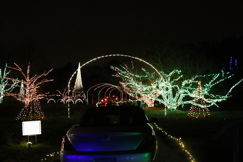 mini-IMG_8713