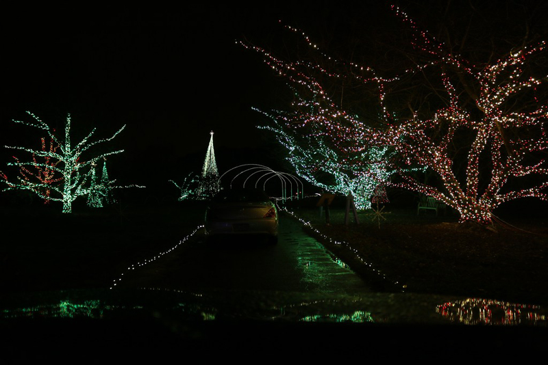 mini-IMG_8717