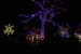 mini-IMG_8704