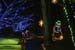 mini-IMG_8739