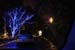 mini-IMG_8741