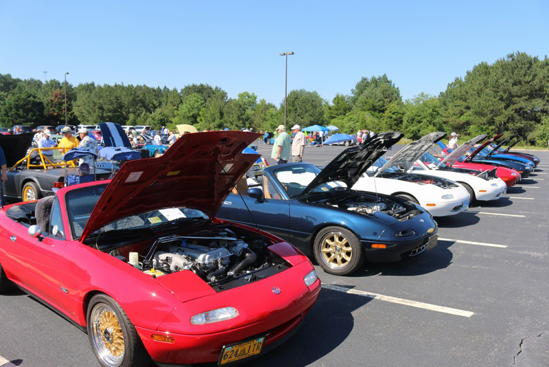 s131mini-mossmtrs_26
