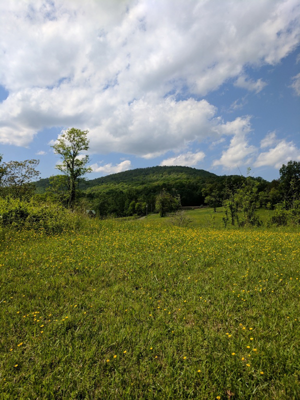 087image000000