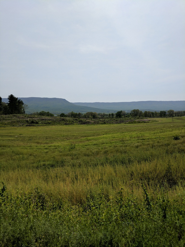 088image000000