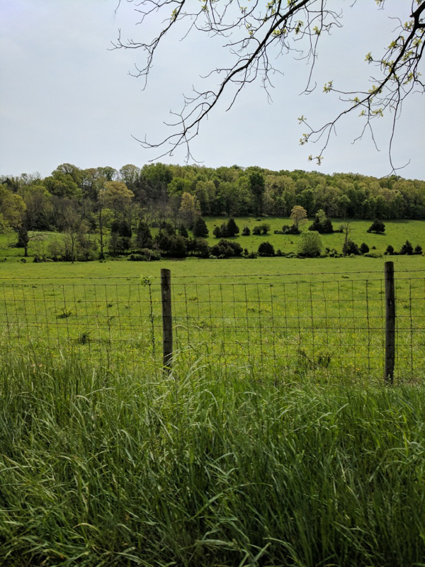 089image000000
