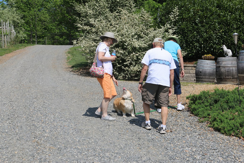sun34mini-spr17tour_258