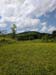 087image000000