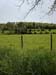 089image000000
