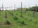 sat70IMG_0951