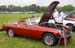 mini-wil422_6694