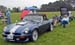 mini-wil422_6886