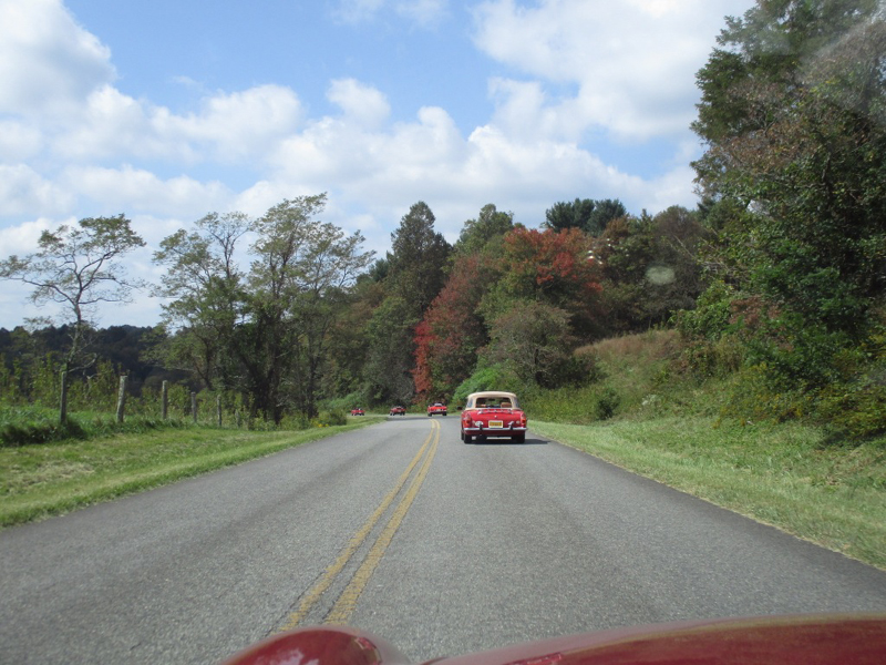 sa45IMG_3590