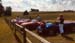 87Parked