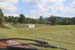 88mini-IMG_1034
