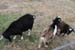 16mini-IMG_9178