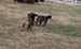 17mini-IMG_9181
